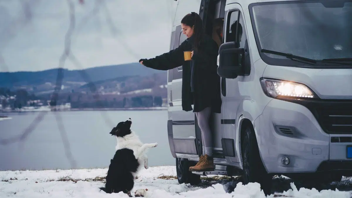 Eine junge Frau steht im Winter in einer geöffneten Tür eines Vans an einem See und spielt mit einem Hund.